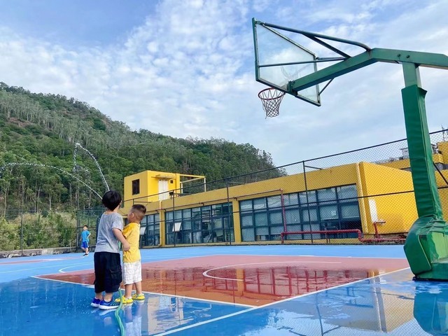 上海申克震动仪表VC920服务为先